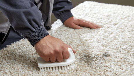 Professional Rug Cleaning Ringwood